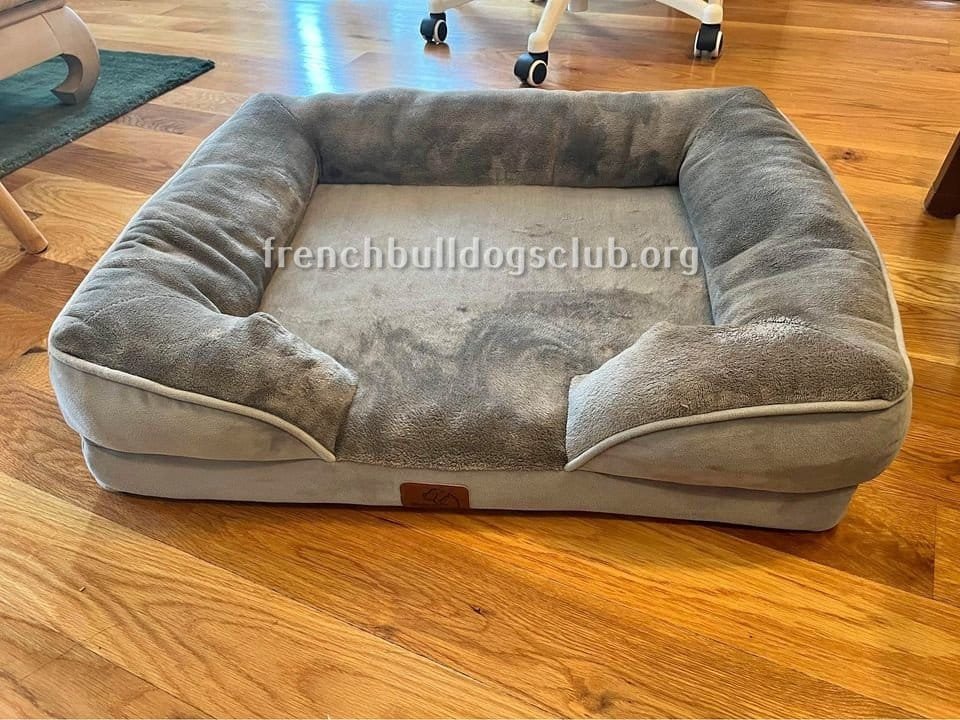 Best Beds for French Bulldogs - Just HEALTHIER Frenchies!