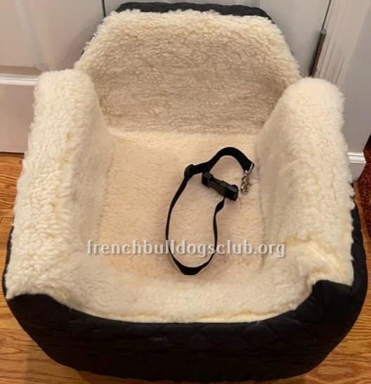 Best Car Seats For French Bulldogs Just HEALTHIER Frenchies!