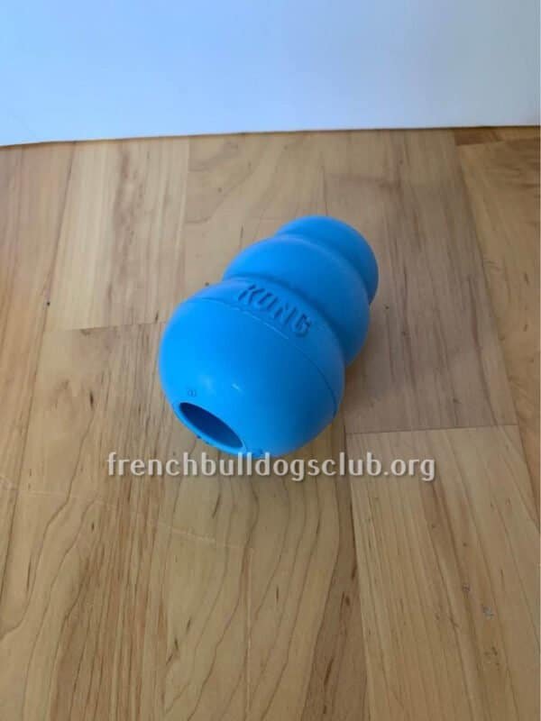 Best Chewing Toys For French Bulldogs Just HEALTHIER Frenchies!