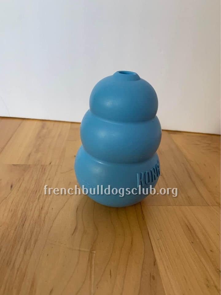 Best Chewing Toys For French Bulldogs Just HEALTHIER Frenchies!