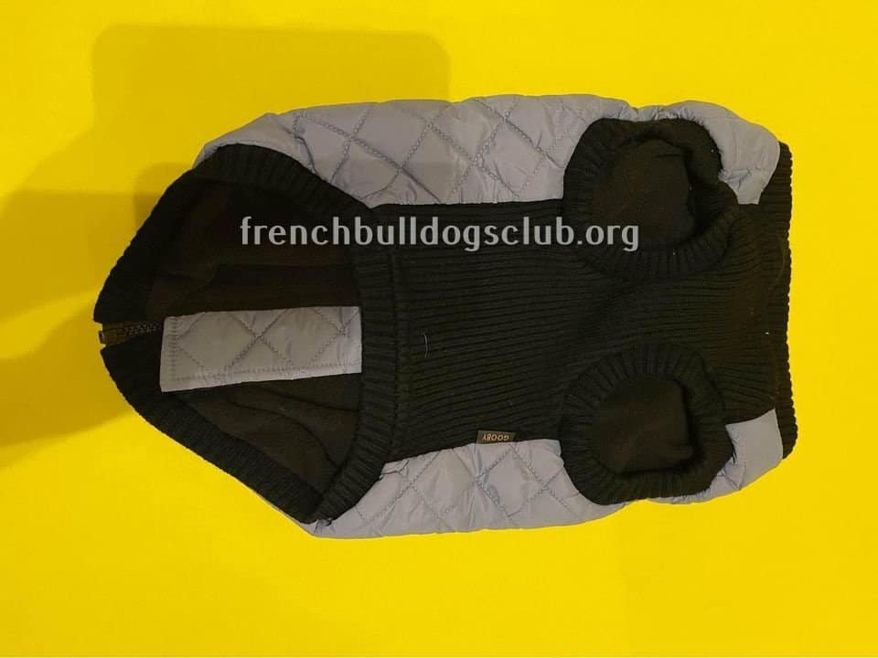 Best Coats For French Bulldogs Just HEALTHIER Frenchies!